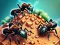 Permainan Ant Colony talian