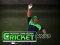 Permainan Cricket Fielder Challenge talian