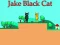 Permainan Jake Black Cat talian