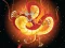 Permainan Chinese Dragons Coloring talian
