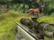 Permainan Stag Hunt talian