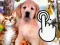 Permainan Pets Clicker talian