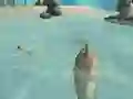Permainan Shark Simulator Beach Killer talian