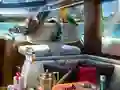 Permainan Caribbean Crime talian