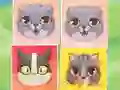 Permainan Kitten Match talian