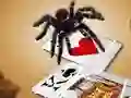 Permainan Jumping Spider talian