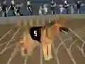 Permainan Crazy Dog Racing Fever talian