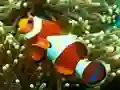 Permainan Underwater Hidden Numbers talian