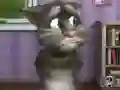 Permainan Talking Tom Cat 2 talian