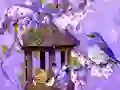 Permainan Wonderful Humming Bird Land Escape talian