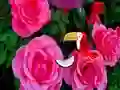 Permainan Precious Rose Escape talian