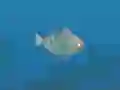Permainan Fish Companions talian