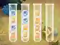 Permainan Sort Bubbles talian