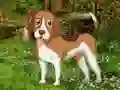Permainan Flower Garden Dog Escape talian