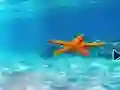 Permainan Escape From Underwater Starfish talian