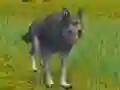Permainan The Wolf: Wild Animal Simulator talian