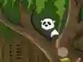 Permainan Panda Jungle Escape talian