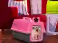 Permainan Escape The Small Pug talian