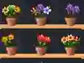 Permainan Good Flower Master talian