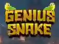 Permainan Genius Snake talian