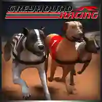 Permainan Greyhound Racing talian