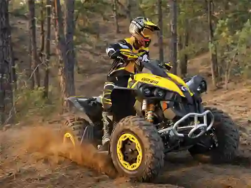 Permainan ATV Offroad Puzzle talian