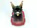 Permainan Pet Sledding talian