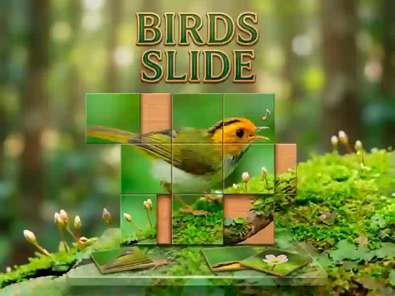 Permainan Birds Slide talian