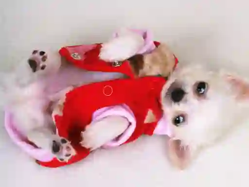 Permainan Lovely Puppy Slide talian