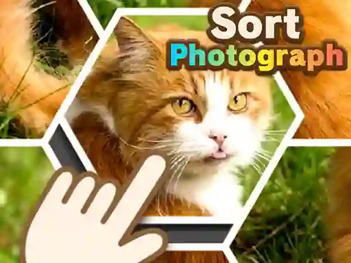 Permainan Sort Photograph talian