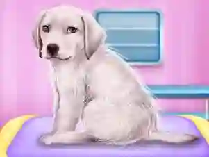 Permainan Labrador at the doctor salon talian