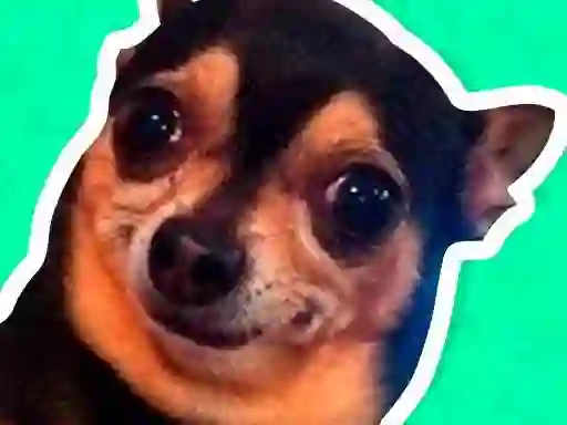 Permainan What meme dog are you ? talian