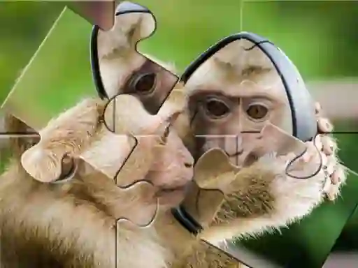 Permainan Chimpanzee Jigsaw talian