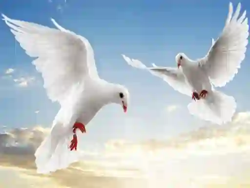 Permainan Flying Birds talian