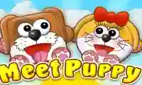 Permainan Meet Puppy talian