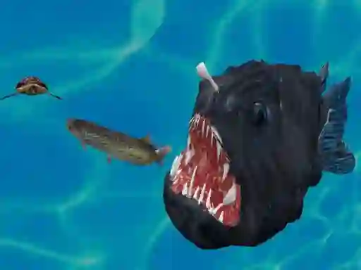 Permainan Fish 3d talian