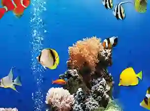 Permainan Sea Underwater Difference talian