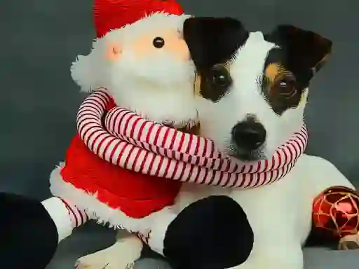 Permainan Funny Christmas Dogs talian