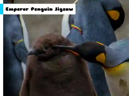 Permainan Emperor Penguin Jigsaw talian
