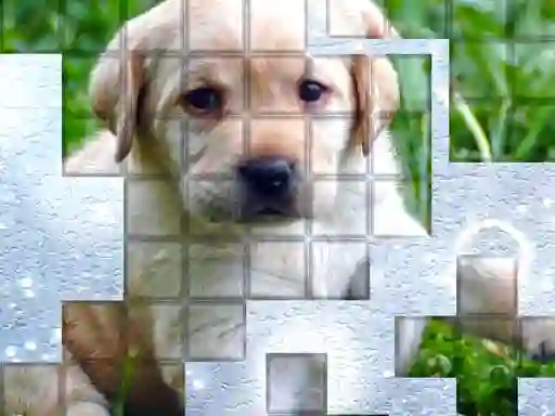 Permainan PicPu Dog talian