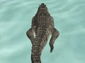 Permainan Pemburu Pantai Simulator buaya  talian
