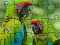 Permainan Puzzle Hutan Hujan talian