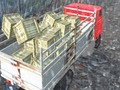 Permainan Pemandu Lori Offroad  talian