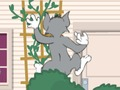 Permainan Tom und Jerry: Wasserbomben Wahnsinn talian