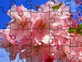 Permainan Puzzle: Bunga talian