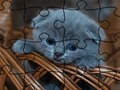 Permainan Puzzle: Kucing talian
