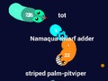 Permainan Curvz. io  talian