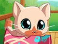 Permainan Haiwan peliharaan saya Pocket Kitty Cat  talian