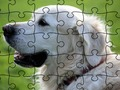 Permainan Puzzle Haiwan Peliharaan talian
