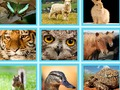 Permainan Kuis Gambar EG talian